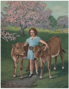 Vintage Calendar Art cows, cattle, livestock, farm life, etc.